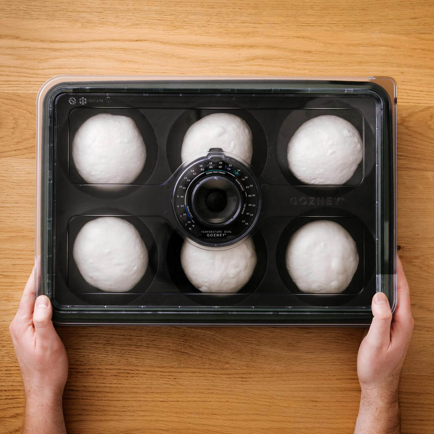 Gozney Teigballen-Box