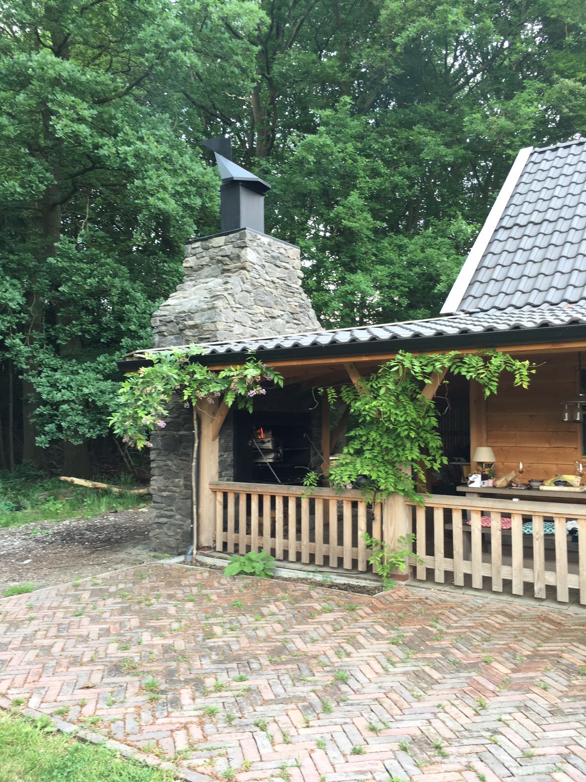 Braai Einbau Grillkamin mit Spieß - Modell 1200