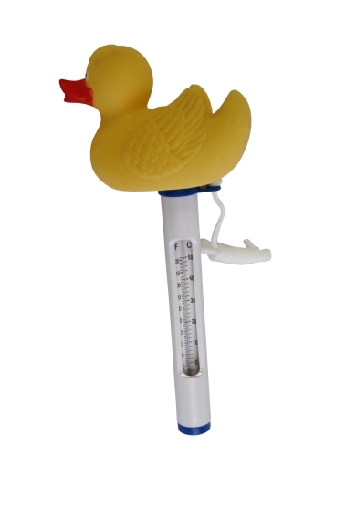 + Pool Thermometer Ente